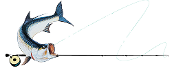World Wide Sportsman