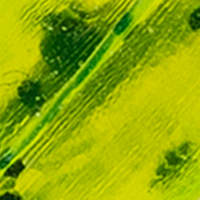 Chartreuse