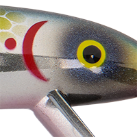 Chrome Herring