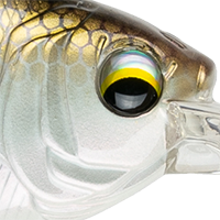 4K Shad