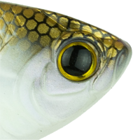 4K Shad
