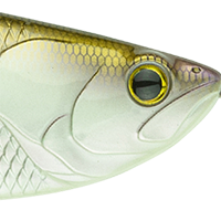 4K Shad