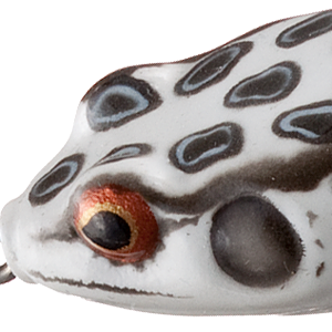 Albino Frog