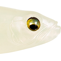 Albino Pearl Shad