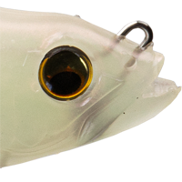 Albino Pearl Shad