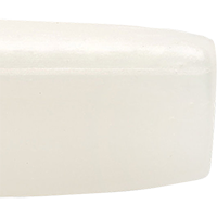 Albino Shad