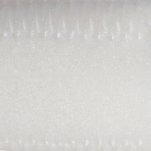 Albino Shad