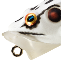 Albino/White
