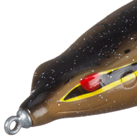 Anaconda