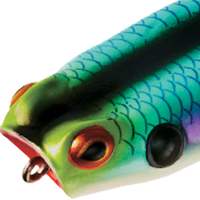 Aqua Frog
