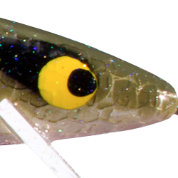 Avocado Shad