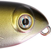 Baby Bass