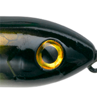 Baby Bass