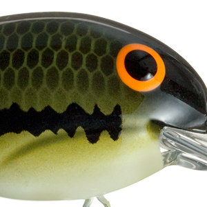 Baby Bass