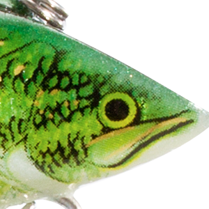 Baby Bass