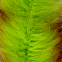 Bard Chartreuse/Orange