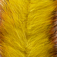 Bard Yellow/Orange