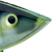 Barfish