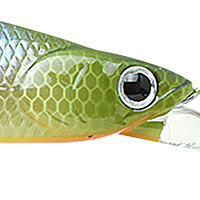 BE Gill