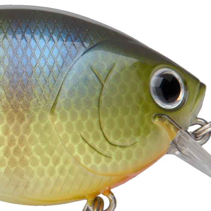 BE Gill
