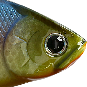 BE Gill