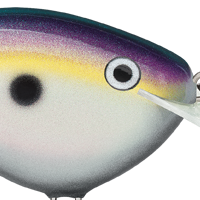 Big Shad