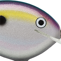 Big Shad
