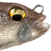 Biwako Shad