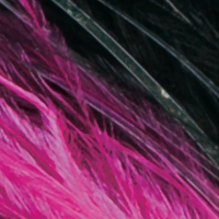 Black/Black-Cerise/Red Glow