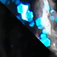 Black/Blue