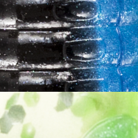Black Blue Chartreuse