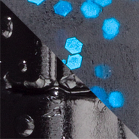 Black Blue Flake