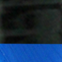 Black Blue Tail