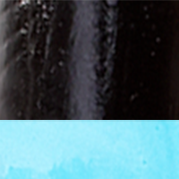 Black Blue Tail