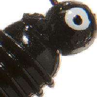 Black Chartreuse