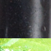 Black Chartreuse Sparkle