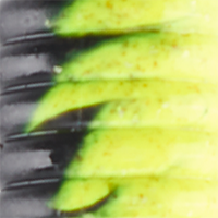 Black Chartreuse Fuze