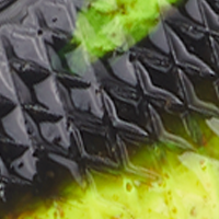 Black Chartreuse Fuze