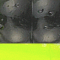 Black Chartreuse Tail