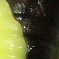 Black/Chartreuse Twist