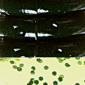Black Chartreuse Silver