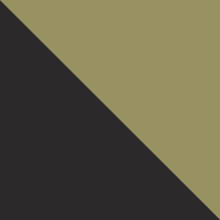 Black/Gold