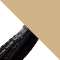 Black/Gold Blade