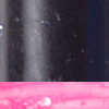Black Hot Pink