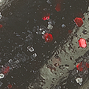 Black Neon Chartreuse