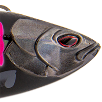 Black Pink Mackerel