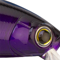 Black Purple