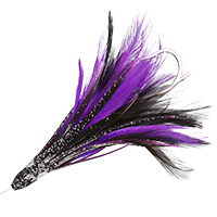 Black/Purple