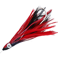 Black/Red
