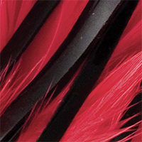 Black/Red